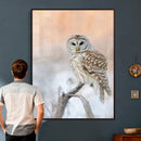 Barred Owl Wall Art Canvas Print – Soft Neutral Wildlife by MyGreatCanvas | Canvas Wall Art Prints | Photo Prints & Wall Decor