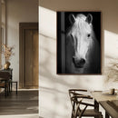 Large Wall Art White Horse Canvas Print