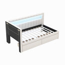 Upholstered Platform Bed With USB Ports And LED Belt by HouseOfZazla