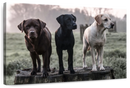 Labrador Dogs Wall Art