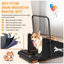 Dog Treadmill For Small To Medium Dogs With LED Display - Black / Orange by HouseOfZazla