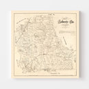 Vintage Map of Liberty County, Texas 1879