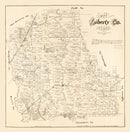 Vintage Map of Liberty County, Texas 1879