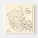 Vintage Map of Liberty County, Texas 1895