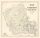 Vintage Map of Liberty County, Texas 1895