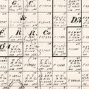 Vintage Map of Lubbock County, Texas 1892