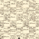 Vintage Map of McCulloch County, Texas 1879