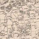 Vintage Map of Palo Pinto County, Texas 1879