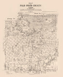Vintage Map of Palo Pinto County, Texas 1879
