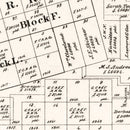 Vintage Map of Tom Green County, Texas 1894