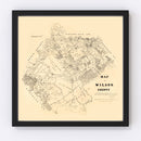 Vintage Map of Wilson County, Texas 1879