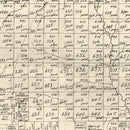 Vintage Map of Young County, Texas 1898