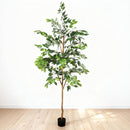 6Ft Artificial Ficus Tree With Natural Trunk In Pot For Indoor Home Office Decor - Green Leaves by HouseOfZazla