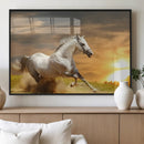 Large Wall Art Galloping White Horse at Sunset Canvas Print