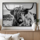 Black and White Scottish Cow Canvas Wall Art Highland Cattle by MyGreatCanvas | Canvas Wall Art Prints | Photo Prints & Wall Decor