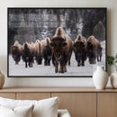 Bison Wall Art Canvas Print- Bison Herd Canvas Wall Art –