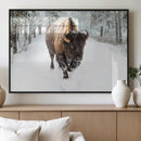 Bison Wall Art Canvas Print For Farmhouse, Animal Canvas
