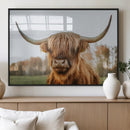 Highland Cow Animal Scottish Cattle Art Print Farmhouse Wall