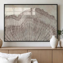 Tree Ring Wall Art Triptych, Rustic Wood Ring Canvas Print,