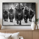 American Bison Art | Buffalo Herd Wall Art Canvas Print, BW
