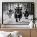 Buffalo Wall Art Canvas Print, Bison Family Wall Art Canvas by MyGreatCanvas | Canvas Wall Art Prints | Photo Prints & Wall Decor