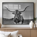 Texas Longhorn Cow Wall Art, Texas Longhorn Canvas, Cattle
