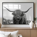 Longhorn Canvas Print, Bighorn Cow Wall Art Canvas Print