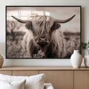 Scottish Cow Longhorn Wall Art Canvas Print