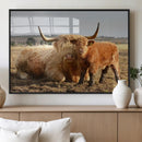 Highland Cow Canvas Wall Art Animal Print for Farm House