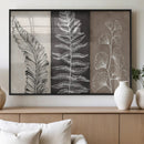 Minimalist Botanical Wall Art Canvas Print, Framed and Ready