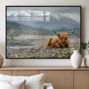 Highland Cow Horn Farm Wall Art Canvas Print