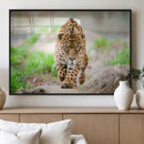 Leopard on the Prowl - Stunning Large Framed Leopard Wall