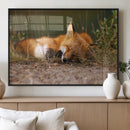 Sleeping Fox Wall Art Canvas Print, Farmhouse Wall Decor and