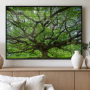 Ancient Tree Wall Art Canvas Print, Framed Sprawling by MyGreatCanvas | Canvas Wall Art Prints | Photo Prints & Wall Decor