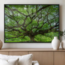 Oak Tree Wall Art Print, Forest Canvas Wall Art for Home and by MyGreatCanvas | Canvas Wall Art Prints | Photo Prints & Wall Decor