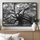 Ancient Oak Wall Art Canvas Print – Gnarled Tree Twisted by MyGreatCanvas | Canvas Wall Art Prints | Photo Prints & Wall Decor