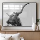 Longhorn Wall Art Canvas Print – Framed Monochrome Ranch Cow