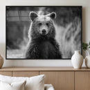 Grizzly Bear Wall Art Canvas Print – Framed Black White