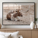 Texas Longhorn Wall Art Canvas Print – Framed Resting Bull by MyGreatCanvas | Canvas Wall Art Prints | Photo Prints & Wall Decor