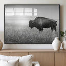 Bison Wall Art Canvas Print – Framed Rustic Wildlife Scene by MyGreatCanvas | Canvas Wall Art Prints | Photo Prints & Wall Decor