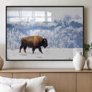 Bison Snow Wall Art Canvas Print – Framed Wildlife Scene by MyGreatCanvas | Canvas Wall Art Prints | Photo Prints & Wall Decor