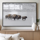 Bison Herd Decor Wall Art Canvas Print – Framed Snowy Bison by MyGreatCanvas | Canvas Wall Art Prints | Photo Prints & Wall Decor