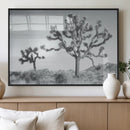 Joshua Tree Wall Art Canvas Print – Black and White Desert by MyGreatCanvas | Canvas Wall Art Prints | Photo Prints & Wall Decor