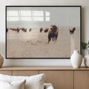 Bison Herd Wall Art Canvas Print – Framed Western Prairie