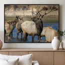 Wild Elk Wall Art Canvas Print – Framed Neutral Wildlife by MyGreatCanvas | Canvas Wall Art Prints | Photo Prints & Wall Decor