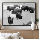 Buffalo Herd Wall Art Canvas Print – Framed Black and White by MyGreatCanvas | Canvas Wall Art Prints | Photo Prints & Wall Decor