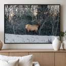 Wild Elk Wall Art Canvas Print – Framed Winter Wildlife by MyGreatCanvas | Canvas Wall Art Prints | Photo Prints & Wall Decor