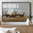 Elk Herd Wall Art Canvas Print – Framed Wildlife Photography