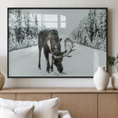 Moose Snow Wall Art Canvas Print – Framed Winter Wildlife