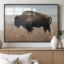 American Bison Wall Art Canvas Print – Majestic Buffalo